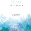 Astor Piazzolla Deco Ensemble: Liquido (CD) Album