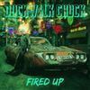 Duckwalk Chuck Fired Up (CD) Album