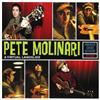 Pete Molinari A Virtual Landslide (CD) Album
