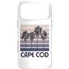 Cape Cod Beach Massachusetts Surfing Sur Custodia per iPhone 17 Pro Max Capo Cod
