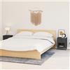 Vidaxl Comodini 2 pz Antracite 40x30x54,5 cm in Acciaio e Vetro