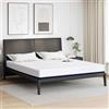Vidaxl Materasso Bianco e Blu 200 x 200 cm Tessuto Jacquard