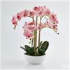 Enzo De Gasperi EDG Enzo De Gasperi Orchidea Phalaenopsis 6 fiori H64 cm Rosa