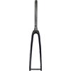 Generico Forcella for Bici da Strada in Fibra di Carbonio, Passaggio Cavi Interno Completo, Perno Passante 100x12mm, Offset 25mm, for Ruote 700C x 32mm