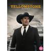 Paramount Home Entertainment Yellowstone: Season 5 (DVD) Luke Grimes Kelsey Asbille Cole Hauser Kevin Costner