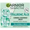 L'OREAL ITALIA SpA DIV. CPD GARNIER SKINACTIVE HYAL CR GG