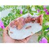 STILBITE ON MILKY CHALCEDONY CORAL MATRIX MINERALS ESEMPLARE #A50