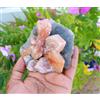 STILBITE SU CALCEDONIO CORALLO MINERALI ESEMPLARE #A50