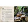 Dungeons and Dragons Heroes Feast Il ricettario ufficiale del gioco di ruolo con