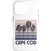 Cape Cod Beach Massachusetts Surfing Sur Custodia per iPhone 16 Pro Capo Cod