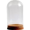Wswqop Elegante Cupola in Vetro per Fiori Conservati, Espositore in Vetro con Base in Legno, Stabile Copertura a Cupola in Vetro per Le Feste, 10x16 cm
