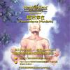Hemi-Sync Transcendence (Mandarin) (CD)