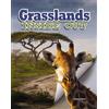 James Bow Grasslands (Tascabile) Ecosystems Inside Out