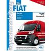 Christoph Pandi Fiat Ducato Typ 250 2,2l, 2,3l 3,0l Dieselmotoren: B (Tascabile)
