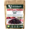 Mirtilli Rossi Interi BIO 1KG | Disidratati, Senza Zucchero, Infusi Con Succo Di