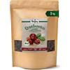 Mirtillo Rosso Essiccato Biologico (1 Kg), Mirtilli Rossi Dolcificati Con Concen