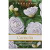 L'ERBOLARIO SB Srl L'Erbolario - Camelia Sacchetto Profumato Cassetti