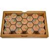 LOGOPLAY Hexamino - Domino esagonale - Gioco da tavolo - Gioco da tavolo in legno con 63 pezzi