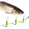 Dtaigou Montatura Per Carpa - Kit Montature Con Esca Regolabile Per Carpa | Kit Regolabile In Acciaio Inossidabile Per Pesca In Acqua, Acqua Salata, Fiumi E Attività All'Aperto