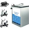HJGHY ,48v 20ah, Batteria LiFePO4 per Moto da 48 V 20 Ah 30 Ah 50 Ah, Pacco Batteria al Litio Ferro fosfato da 60 V 20 Ah 30 Ah 60 Ah, Batteria da 72 V per Triciclo, Scooter e ciclomotore.