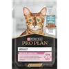 Purina Pro Plan Adult Delicate Digestion Umido Gatti Pesce dell'Oceano