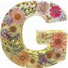 Generic Kit di ornamenti in resina, lettere con fiori, fiori secchi, lettera luminosa notturna resi N con luci a LED, luce notturna o lampada decorativa (G)