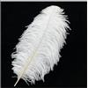 TSWNG Piume di struzzo grandi, 40 - 45 cm, piume decorative per fai da te, bianco, piume naturali, grandi, per Natale, matrimoni, feste, carnevale, casa, decorazione da tavolo fai da te