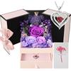 Touloube Rosa Eterna Regalo Donna, Rosa Stabilizzata con Collana e Orso di Muschio, Preservada Fiori Confezione Regalo per la Festa Della Mamma, Natale, Compleanno, San Valentino per Fidanzata,Moglie,Nonna
