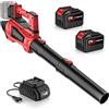 SWBSLL Soffiatore a Batteria 21 V, Soffiatore Foglie con 2 X 4,5 Ah Batterie, 5 Velocità & Turbo Modalità, 360km/h, Motore Brushless, Tubo Staccabile, per La Rimozione di Polvere e Neve
