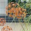 yeeplo Set di 2 decorazioni da giardino in acciaio corten, decorazione da giardino in metallo, fiore di papavero arrugginito, decorazione da giardino in ruggine, spina per aiuole, spina da giardino, spina