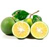 AMDGarden Pianta di MAPO CITRUS Pompelmo Mandarino Agrumi Sempreverde per Esterni h 100 cm Vaso 18 cm