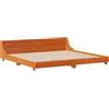 vidaXL Letto in legno massiccio senza materasso cera marrone 200x200 legno di pino