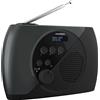 Thomson RT350DAB Radio Portatile DAB+ E FM - Nero/Grigio