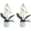 EasyByMall 2 confezioni di orchidee Phalaenopsis artificiali in vaso, fiori finti realistici in bianco, viola, giallo, per casa, ufficio, matrimoni, eventi, decorazione da tavolo (bianco)