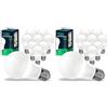 V-TAC 10x Lampadine LED A60 con Attacco E27 potenza 10.5W (Equivalenti a 75W) - Lampadine Nuova Generazione - 1055 Lumen - Massima Efficienza e Risparmio Energetico - 4000K Luce Naturale