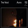 Tre Voci Tre Voc & Kit Downes: Auro (CD) Album