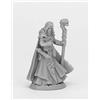 Pechetruite 1 x Dark Elf Wizard - Reaper Bones Miniatura per Gioco di Ruolo Guerra - 44073