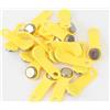 ORYKEY Set di schede RFID TM IButton Touch Memory Key, impermeabili, dimensioni compatte e leggere, facili e comode da installare, adatte per varie applicazioni di sicurezza (50, giallo)