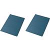 Pigna, 50 Cartelle per atti Semplici senza lembi con Stampa, Linea Eco, 24,5x34,5 cm, 180 g/mq, AZZURRO (Confezione da 2)