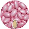 EinsSein Confetti di Mandorla Matrimonio Conchiglia rosa perla 500g | 125 pezzzo Confettata per Comunione Battesimo Cresima Nascita e Laurea | Decorazioni Bomboniere per Bimba Cuoricini