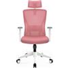 Durrafy Sedia da Ufficio Ergonomica, Poggiatesta & Supporto Lombare Regolabili, Rete Traspirante, 120° Inclinazione（Non bloccabile）, 360° Girevole, 150kg Carico. (rosa)