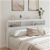 IBUQDDV Testiere Letto Matrimoniale Testiera Letto Una Piazza E Mezza Testata Letto Matrimoniale Spalliera Letto Singolo Testiera con Contenitore a LED Bianca 180x17x102 cm per Camera Degli Ospiti Salone