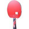 sdSDGrw Racchette da Ping Pong, Confezione da 1 Racchetta Ping Pong for Allenamento Quotidiano e attività in Famiglia for Principianti / 4 Stelle(Long Handle)