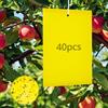 QWORK® 40 Pezzi trappole gialle insetti, formiche trappole gialle, per minatori delle foglie, afidi, falene, altri insetti