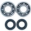 GTWSQQ 2 cuscinetti manovella con kit paraolio for ST = IHL MS230 MS250 MS210 021 023 025 MS 230 250 pezzi di ricambio for motosega