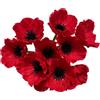 Rikyo 10 steli 27,9 cm bouquet di fiori artificiali di papavero, non sbiadiscono PU, fiori selvatici falsi per tavolo da cucina, centrotavola, vaso, verde, matrimonio, fondale, arco, parete (rosso)