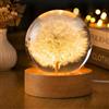 Excerando Lampada Sfera di Cristallo - 6cm Lampada Fiori Crystal Ball con Luce LED e Base in Legno, Lampada Decorativa Palla di Vetro per Decorazioni Casa e Soprammobili Soggiorno