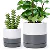 D'vine Dev Set di vasi per piante, 10,5 cm e 15,8 cm, in ceramica, per piante con foro di drenaggio e piattino, bianco/grigio macchiato