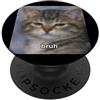 Funny Cat Humor Meme Art Graphic (Bruh) Divertente gatto carino gattino dice Bruh sfocato foto meme PopSockets PopGrip Adesivo