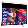 ESMART Professional TATENSO schermo tensionato L totale 281 cm, telo bianco | Area di proiezione 244 × 137 cm, formato 16:9, telo bianco per home cinema e presentazioni, telecomando incluso
